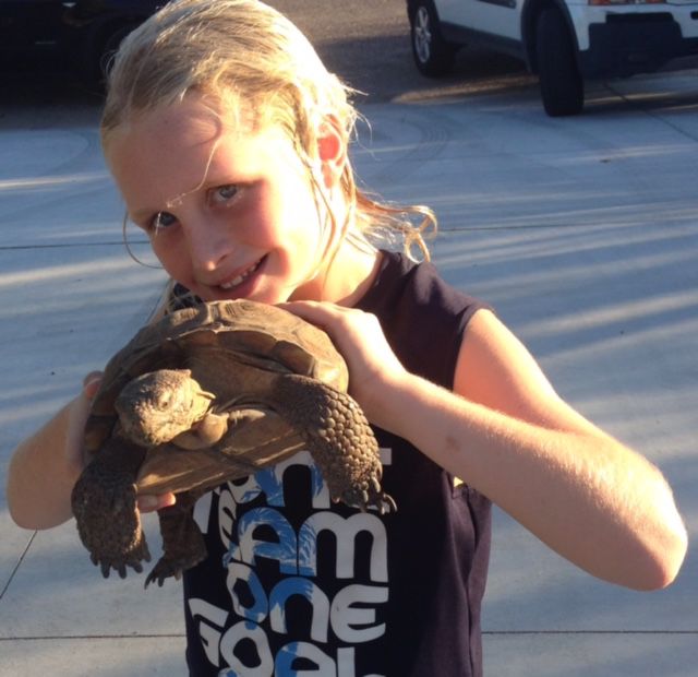 Readers share their desert tortoise photos